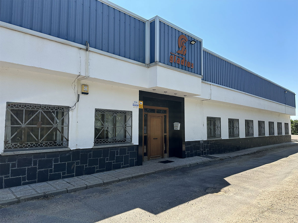 Art Gladius: Forjamos espadas y armas medievales, coleccionistas y entusiastas, Toledo